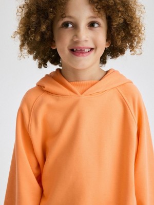 Reserved Oversized Truien Jongens Koraal | QNICP-0759