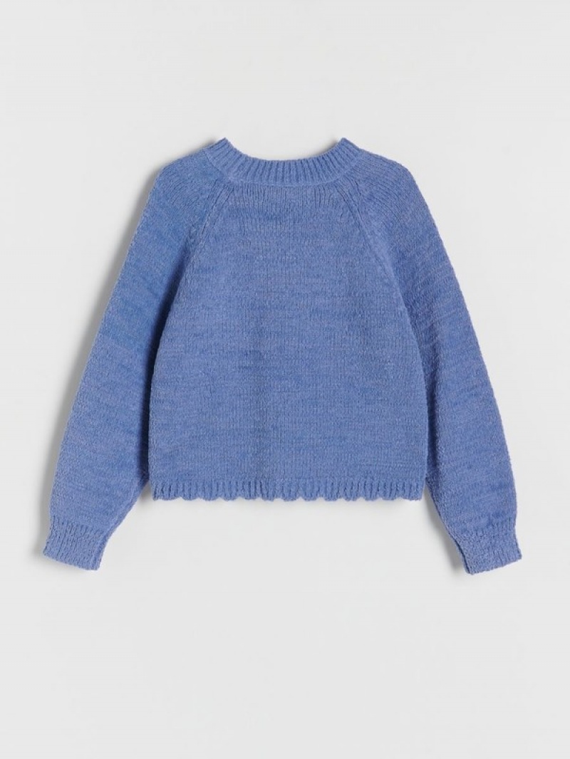 Reserved Jumperraglan Sleeves Truien Meisjes Blauw | VDTLO-8615